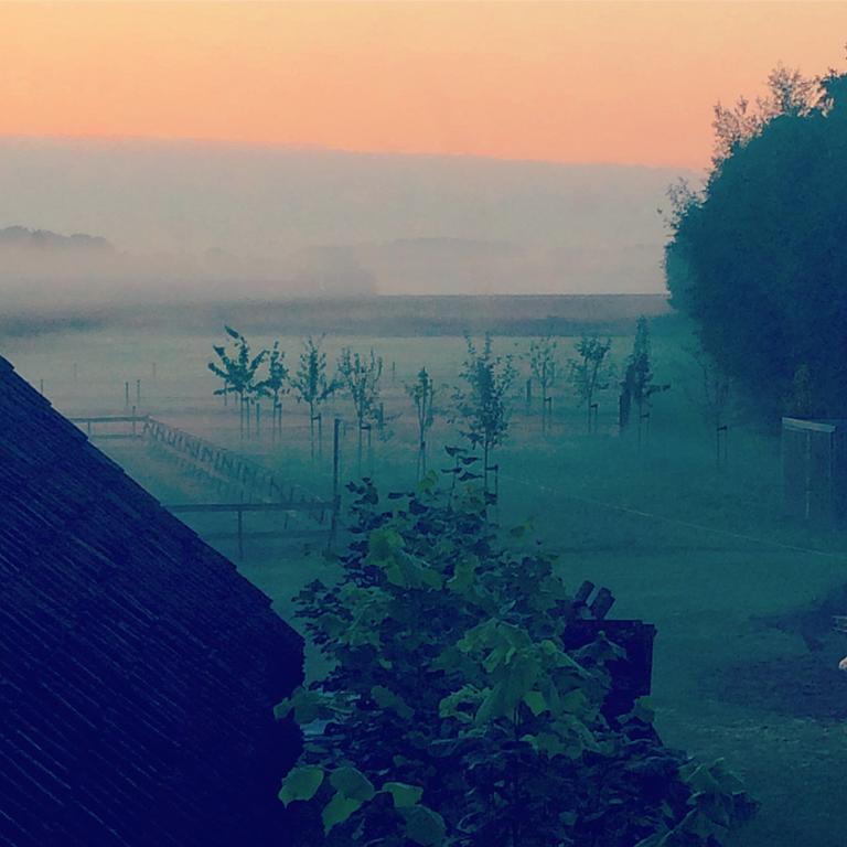 Bed&Breakfast Karakter Den Dungen Bagian luar foto